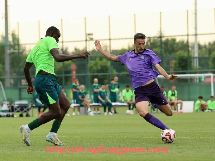 pg电子在线下载-法甲赛季重点球员表现及对球队成绩的贡献