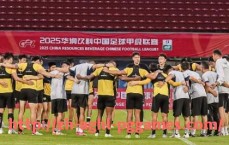 pg电子在线下载-德甲球队平均工资情况分析：各队差异有多大？