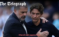 pg电子在线下载-英超欧盟籍球员数据占比与政策分析