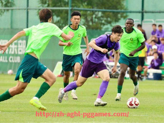 pg电子在线下载-法甲直播平台市场份额及用户行为研究